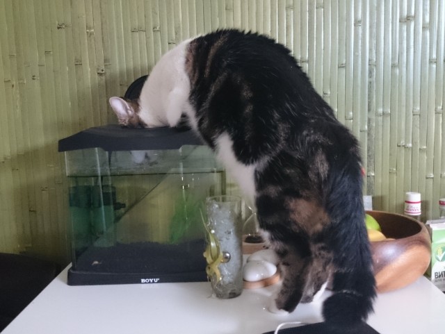 Славная была охота