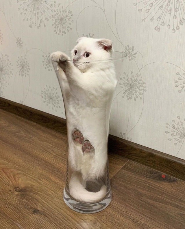 Так всякие картинки