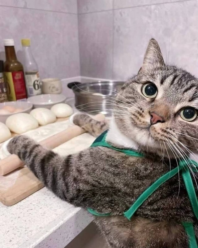 Всякая бредятина