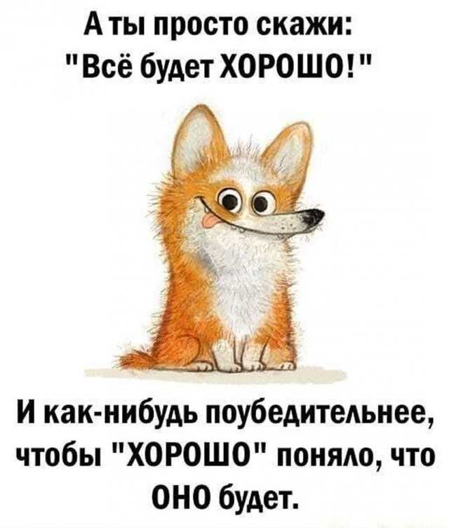 Прикольные и просто красивые картинки 24.10.2025
