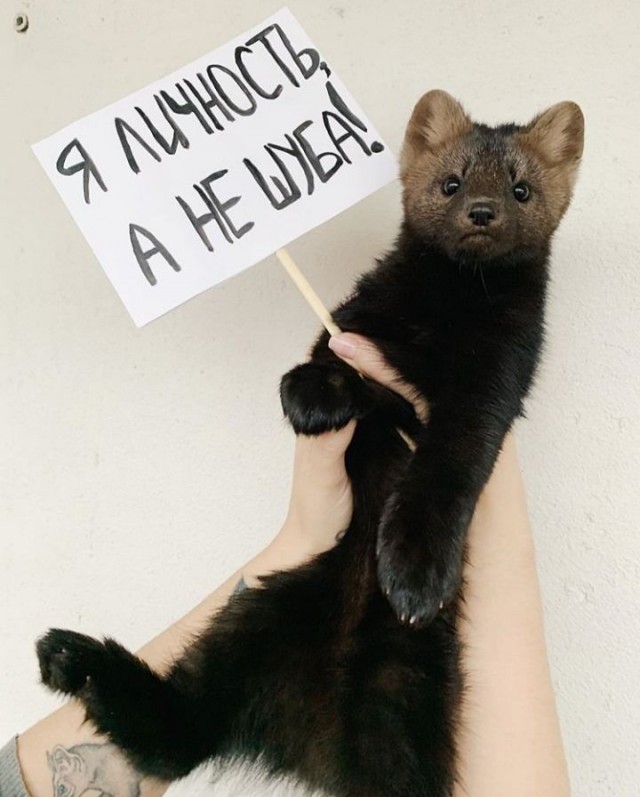 А это бля как?!
