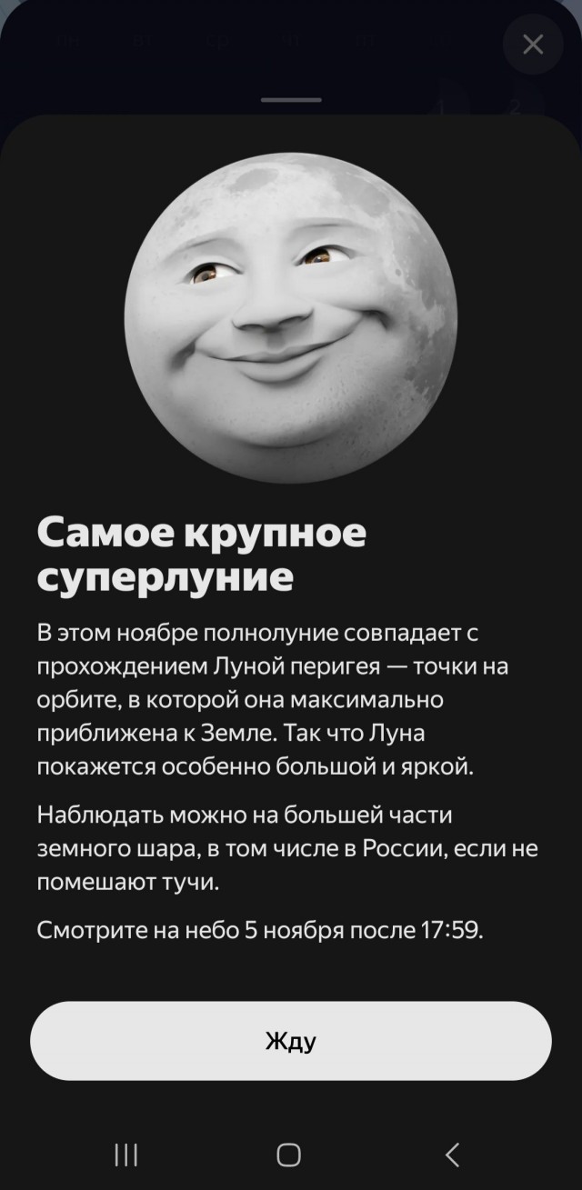 Красота