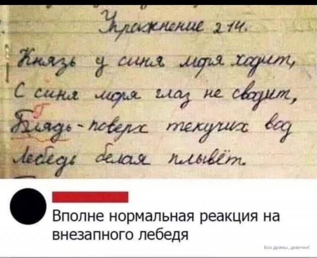 Картинки для деградации 113 (разной степени свежести)