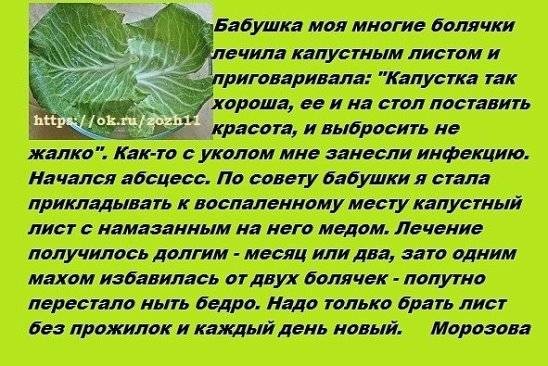 Врач посоветовал школьнице лечить абсцесс капустой