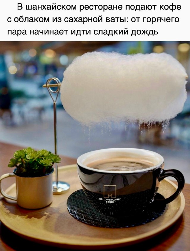 Так себе картинки 06.02.26