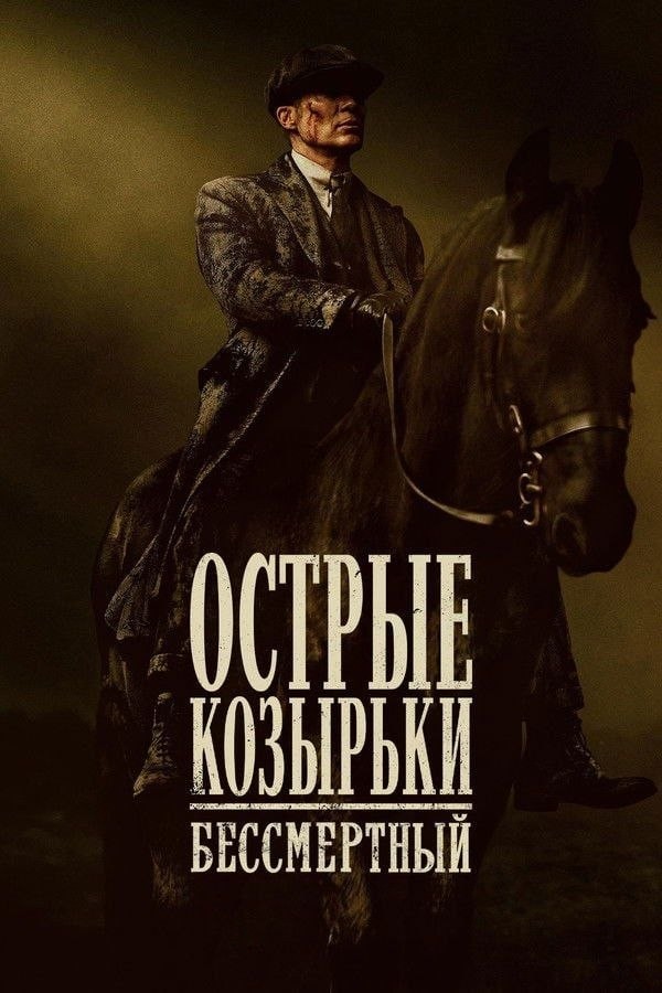 Топ-15 новых фильмов с отличными оценками, которые только недавно вышли, но их уже можно посмотреть в бесплатных кинотеатрах