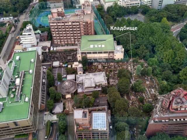 Девушка из Краснодара показала вид из своего ЖК