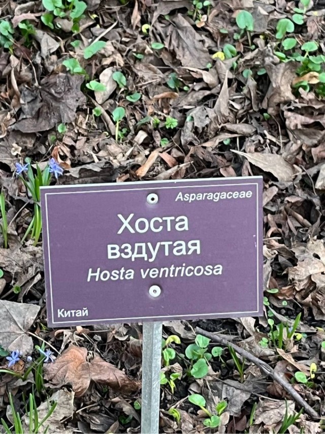 Кто ты сегодня?