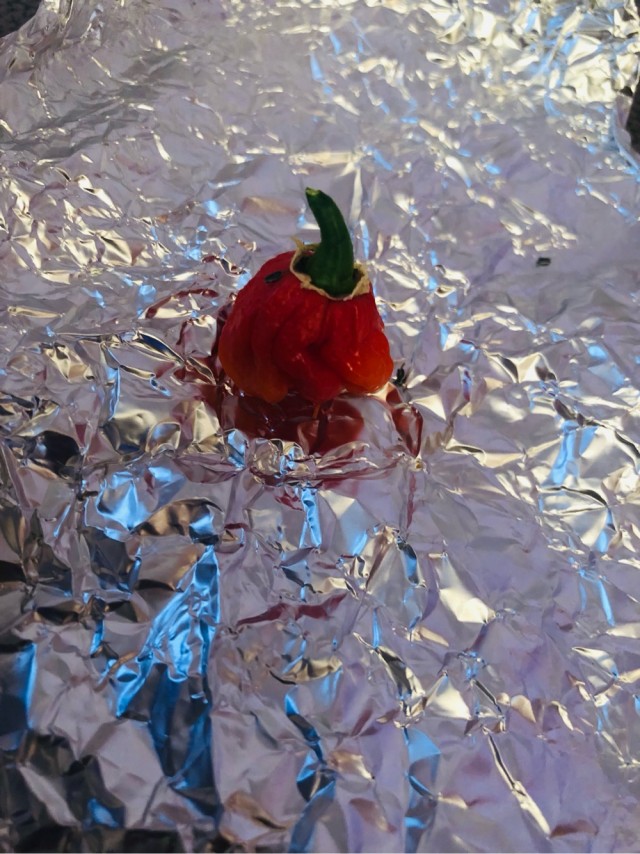 Каролинский жнец