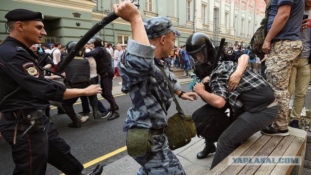 Новый загон для жителей Девяткино. И его уже сломали