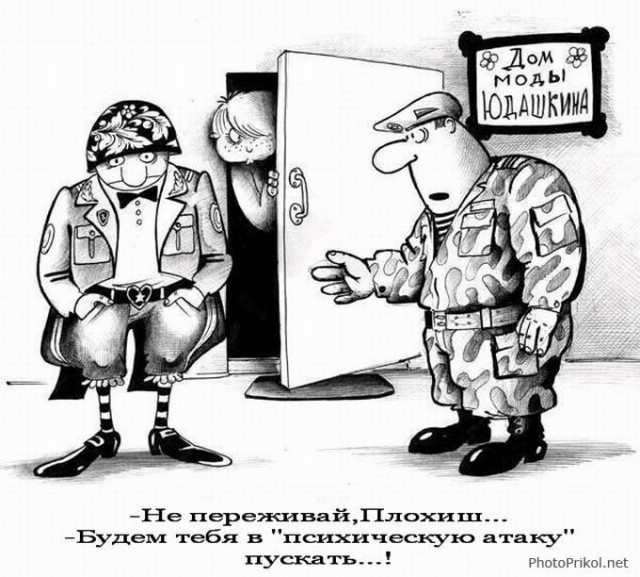 Новые звезды