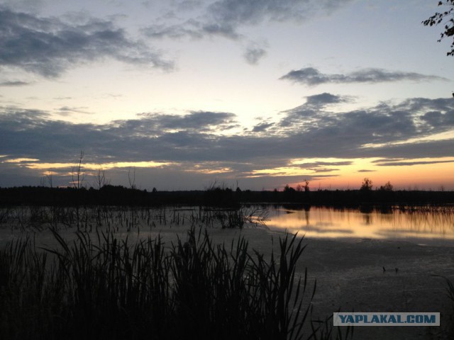Красота природы не зависит от....