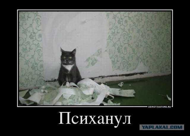 Рукожопство в прямом смысле этого слова...)