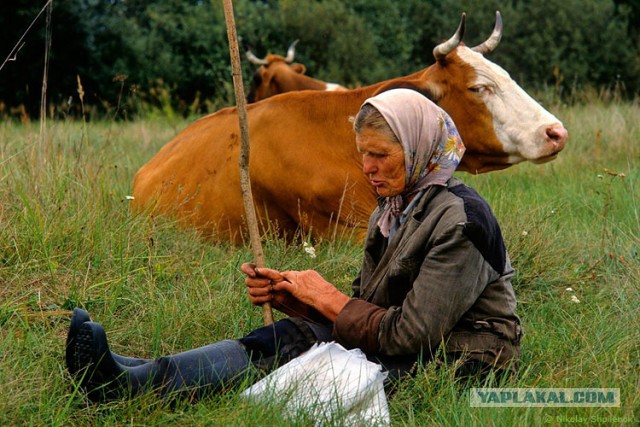 В затерянном мире