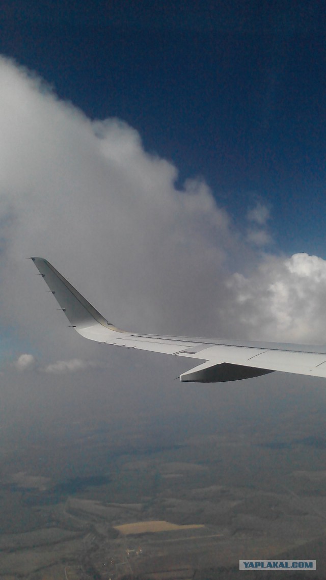 Установка sharklets на Airbus A-320 S7 Airlines.