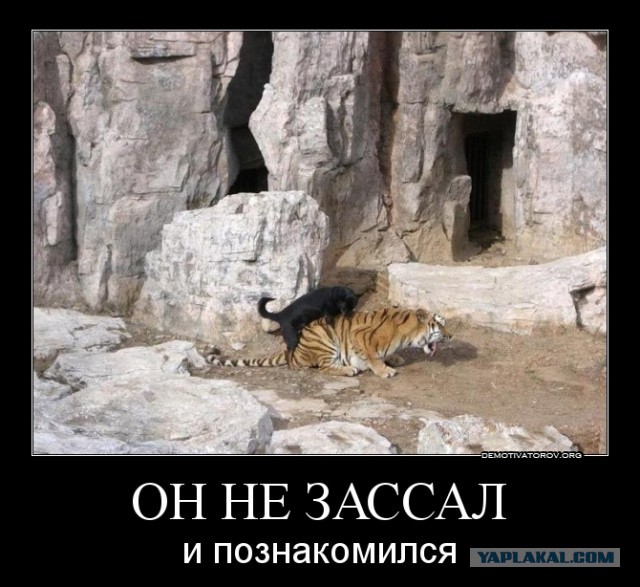 "Подглядываем" за девушками