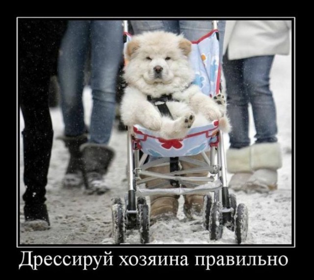 Демотиваторов пост, добавляйте свои