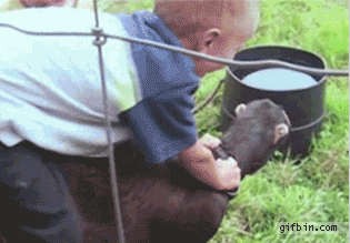 Будущий жокей