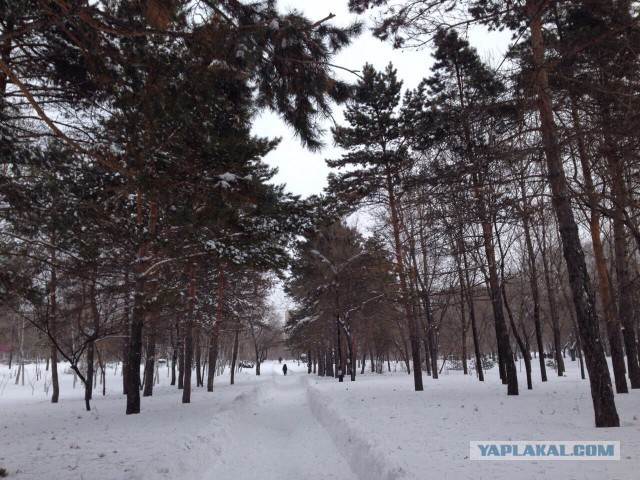 Ещё немного заваленного снегом Хабаровска