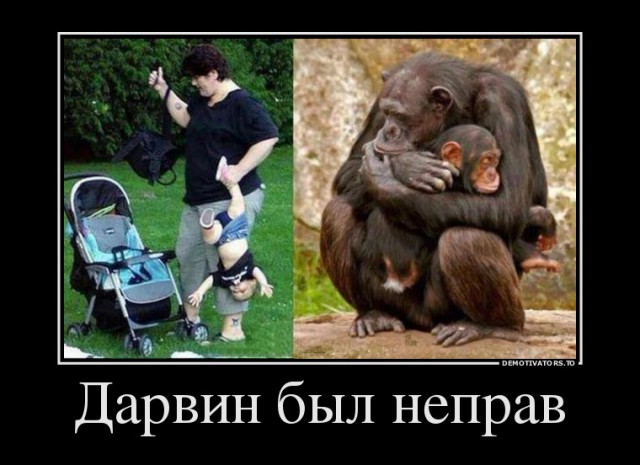 Веселое из сети