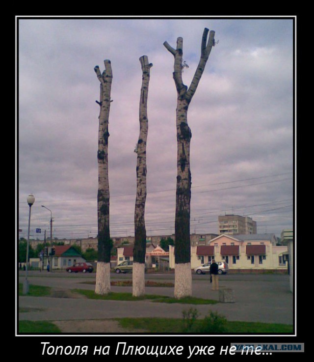 Казусы жизни