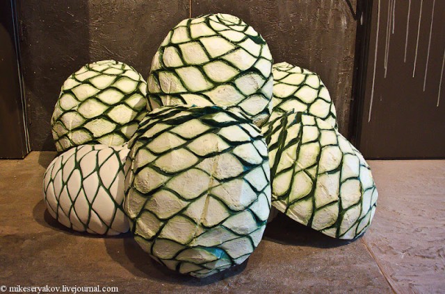 Как делают текилу