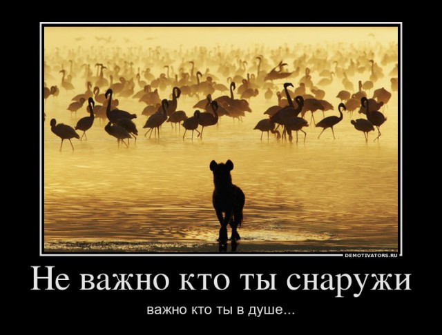 Вы хотите "демов"?