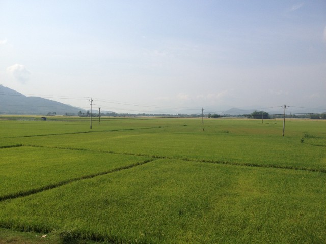 Việt Nam