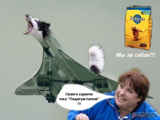 Фотожаба: летающая собака