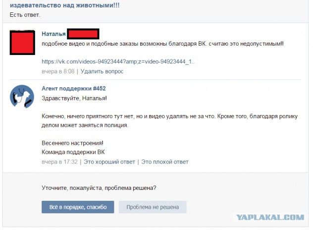 Издевается над котёнком, за деньги