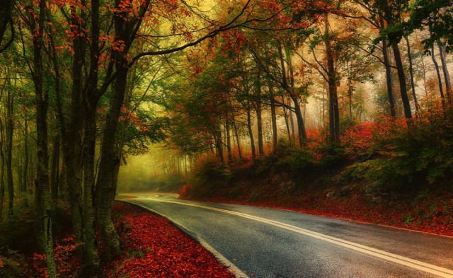 Подборка красивых фото