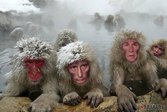 Фотожаба: Путин трансер