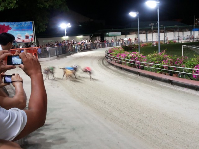 Вьетнамские хроники