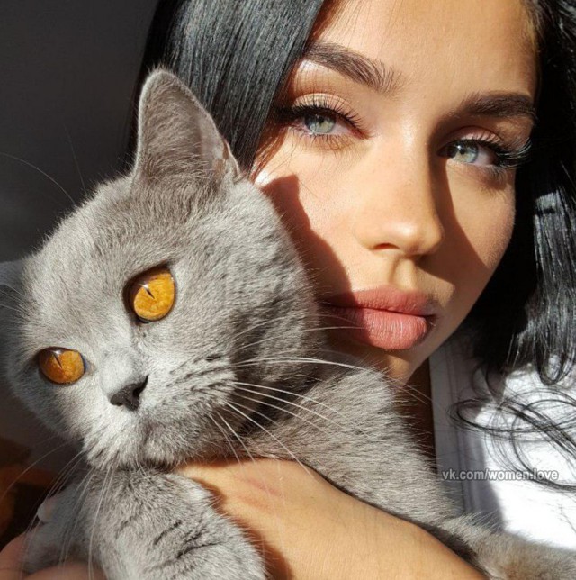 Коты и Кошки