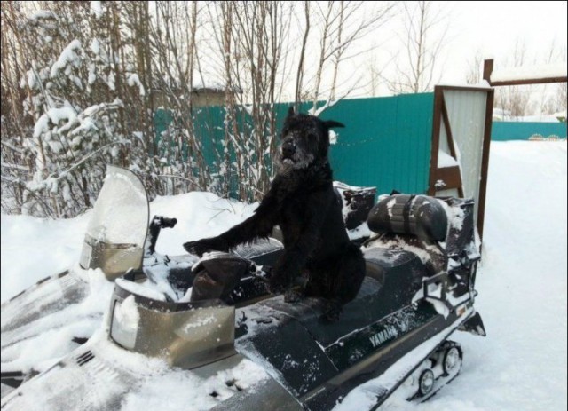 Картинки разные