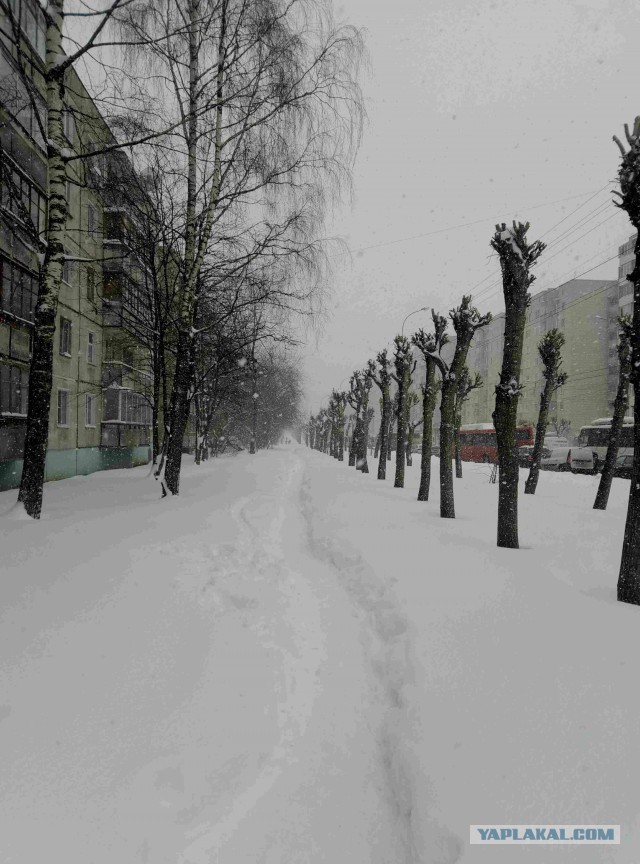 На дорогах Кирова случился снежный апокалипсис