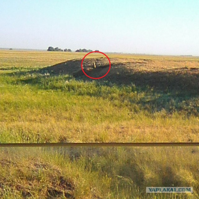 Командировка. В леса