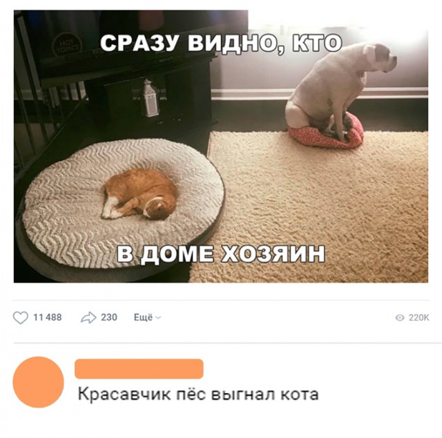 Нестандартный юмор