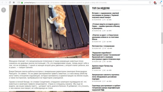 Забота о клиентах: в крымском санатории на глазах у детей убили 20 кошек
