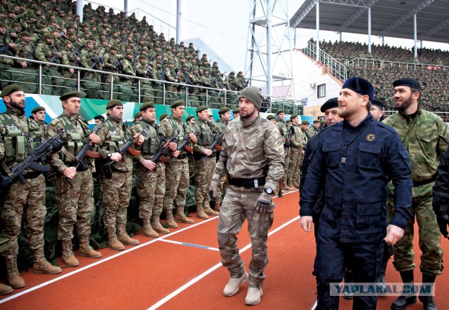 Этот "безобидный" гуманитарий к 3-й мировой готовился или к зомби-апокалипсису?