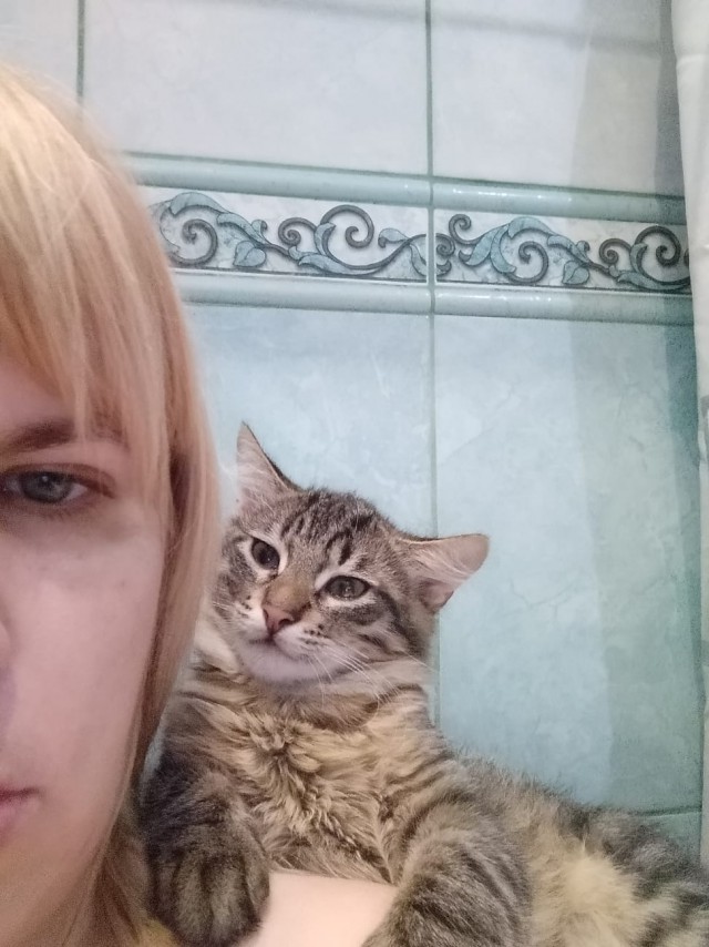 Человек не зря одомашнил кошек