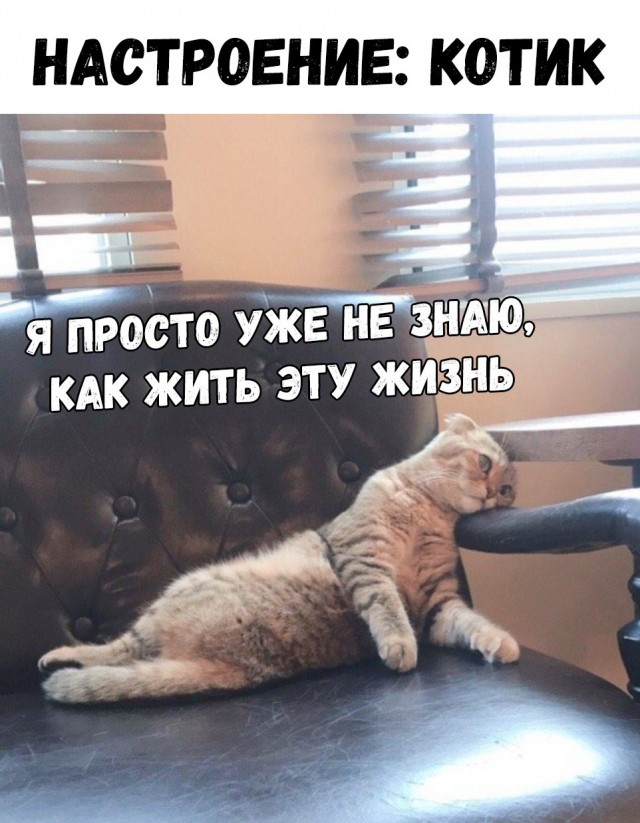 Нестандартный юмор