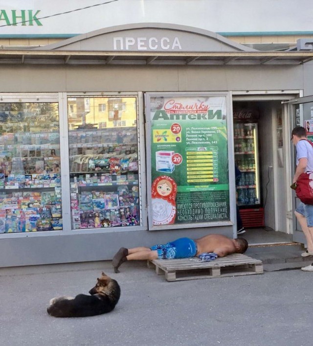 Скотсети и прочие интернеты 04.03.19