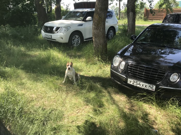 Сударь