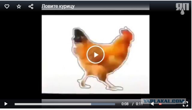Кому нечем заняться: ловите курицу, нажимая на паузу