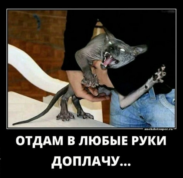 Немного картинок для настроения 113