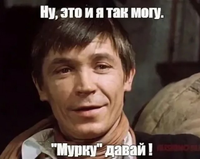 Кот-пианист