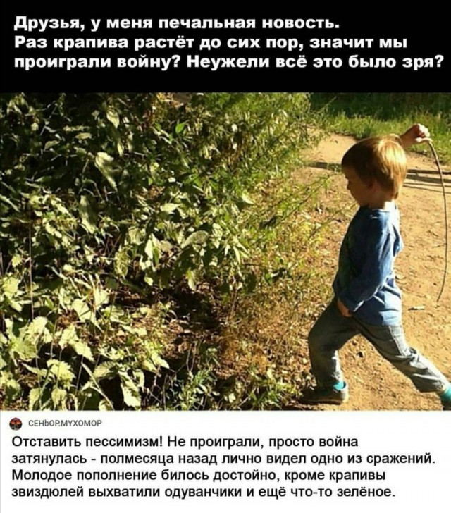 Юмор в картинках 26.07.20
