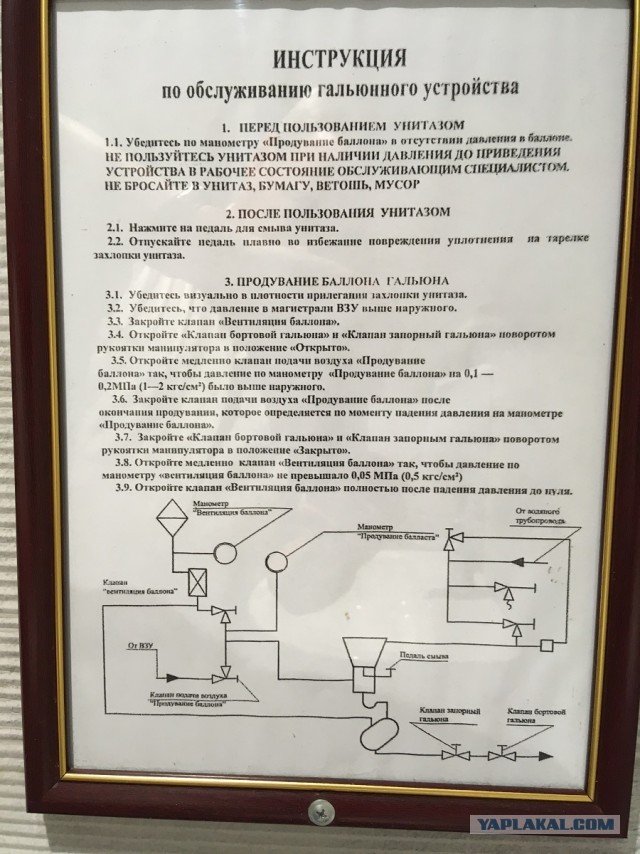 20 доказательств того, что вывески и таблички Петербурга — отдельный вид искусства