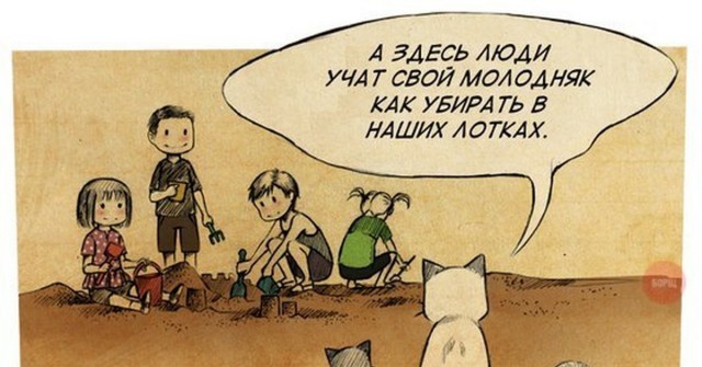 Самый эффективный хищник на планете — стрекоза